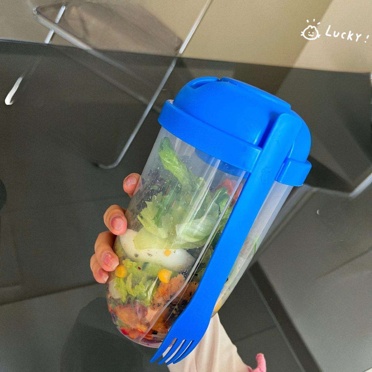 Portable PP Salad Cup with Lid - Leak-Proof Insulated Food Container for Picnic & Camping