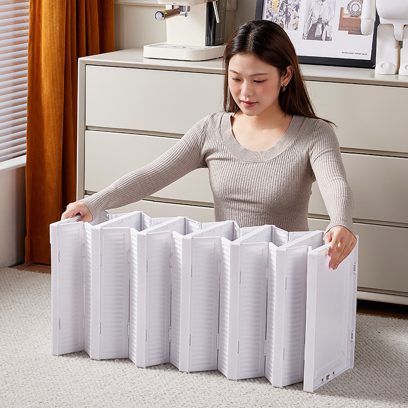Foldable Transparent Shoe Cabinet with Magnetic Door - Stackable PET Shoe Organizer