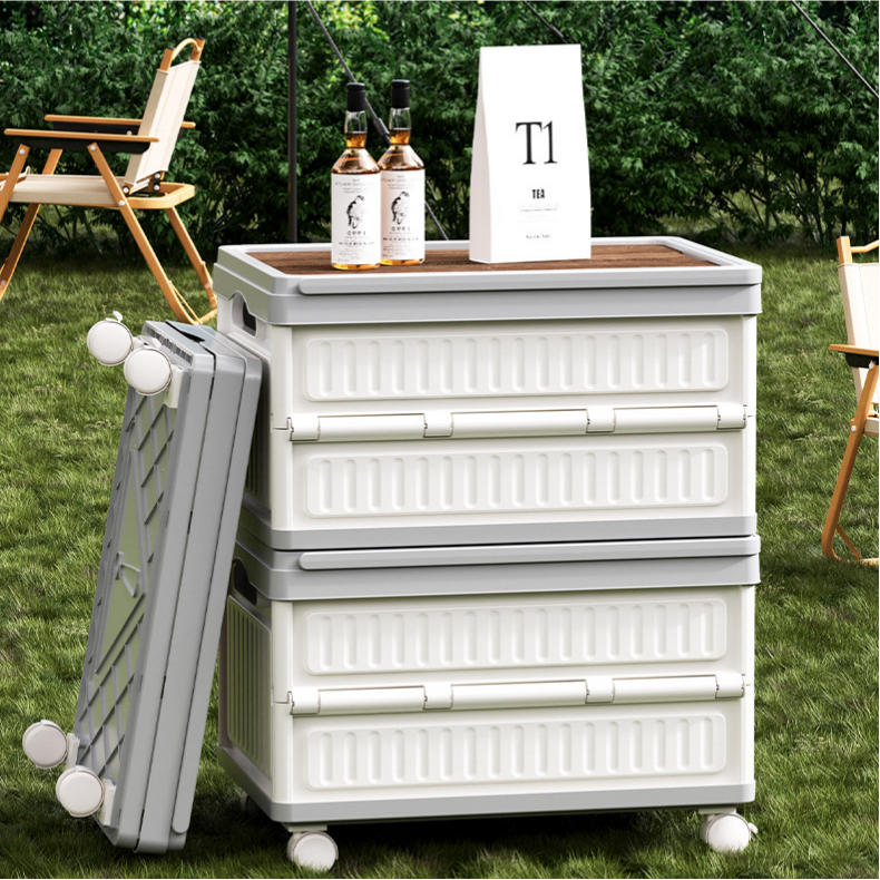 Foldable PP Car Trunk Organizer - Multi-Function Camping & Picnic Storage Box