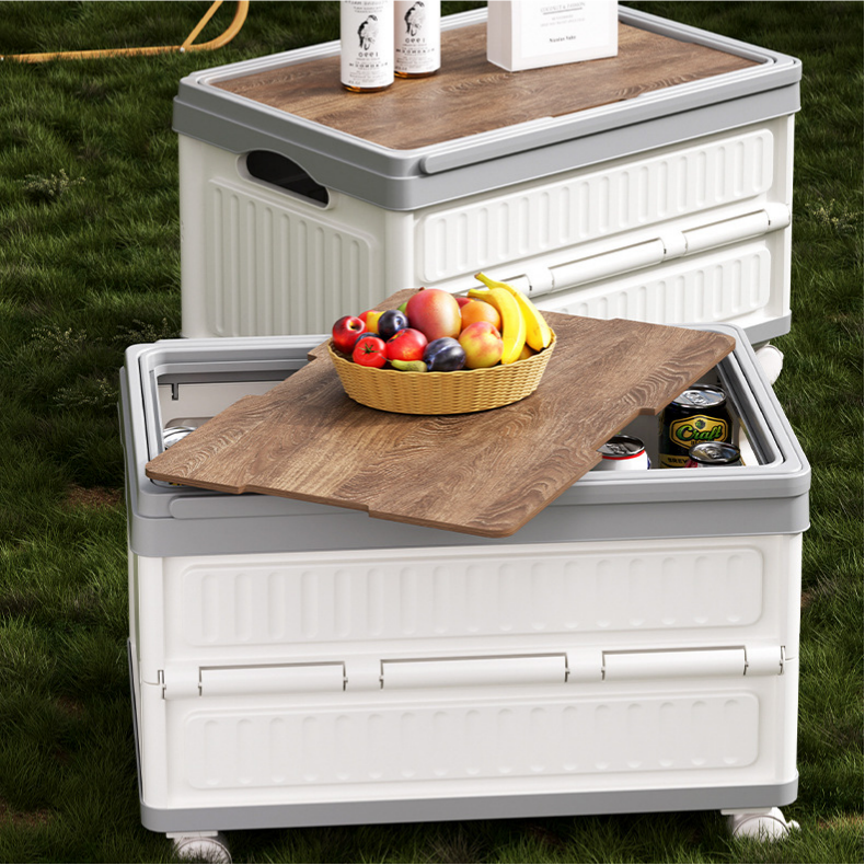 Foldable PP Car Trunk Organizer - Multi-Function Camping & Picnic Storage Box