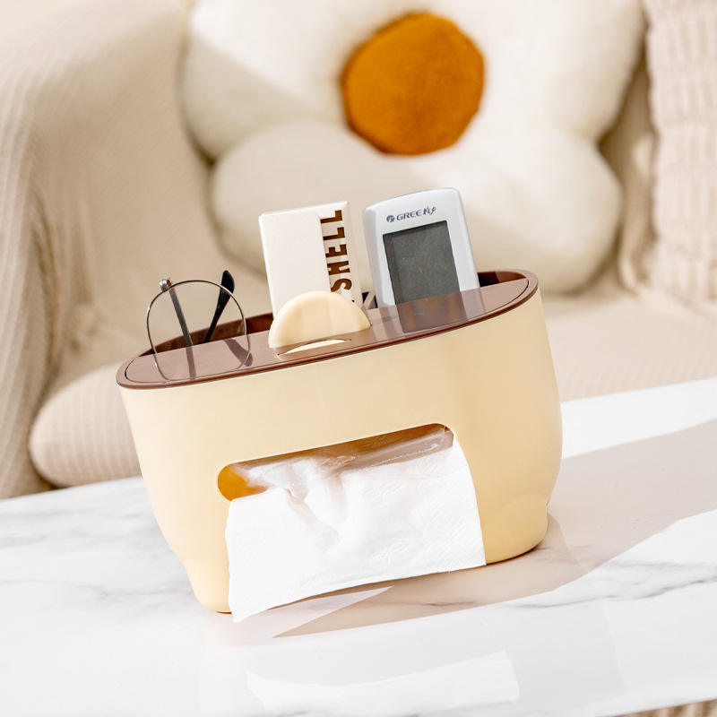 Multi-Functional Plastic Tissue Box with Storage - Light-Luxury Desk Organizer