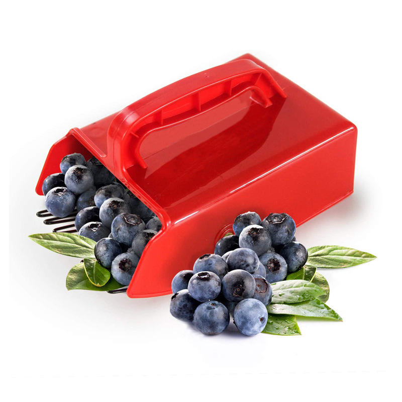 Blueberry and Berry Picker Scoop - Plastic Shell Tool with Metal Base